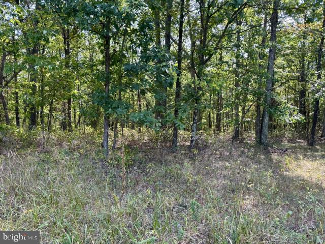 Hungaria Rd #lot 21 Property Photo 8