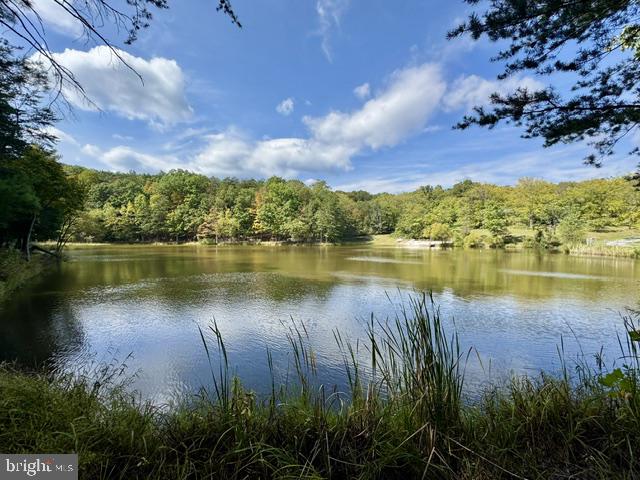 Hungaria Rd #lot 21 Property Photo 12
