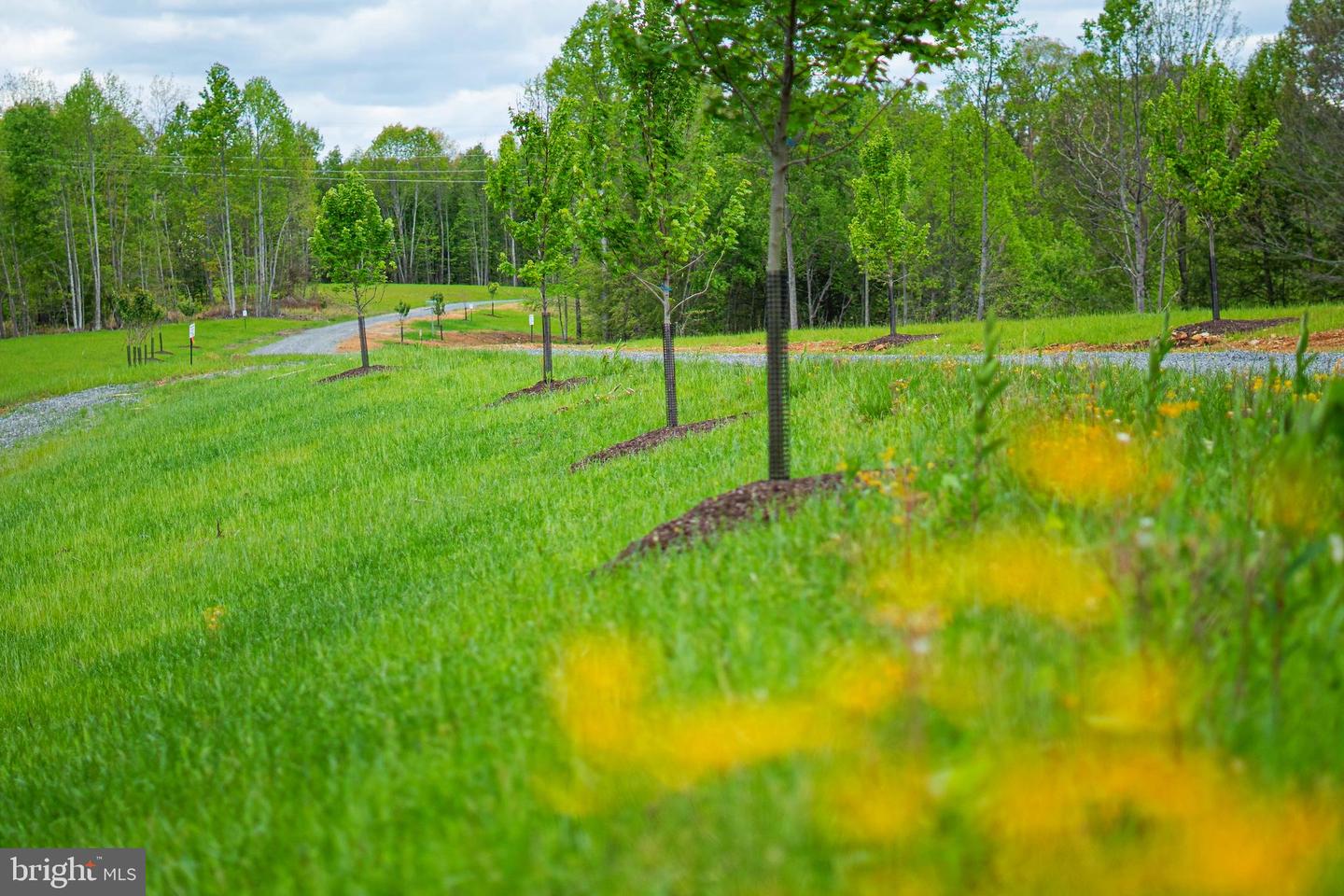 Lot 2 Gauley Ridge Rd Property Photo 11