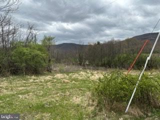 Stoney Creek Property Photo 4