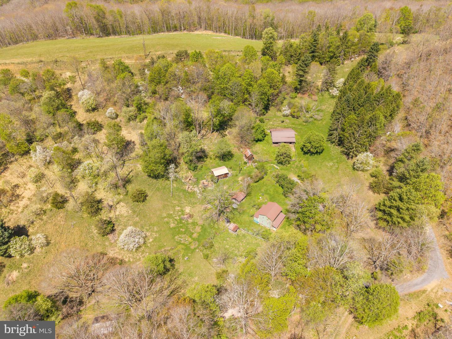 2084 Little Italy Rd Property Photo 6