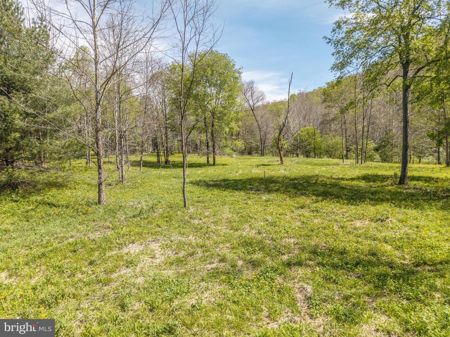 2084 Little Italy Rd Property Photo 10