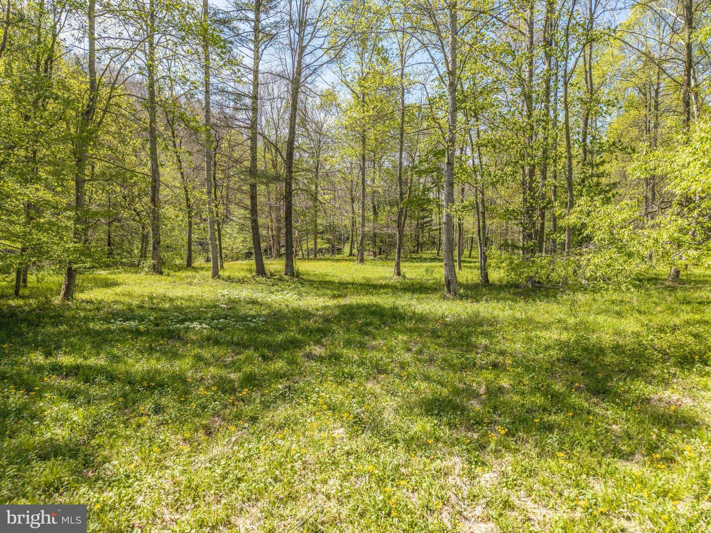 2084 Little Italy Rd Property Photo 16