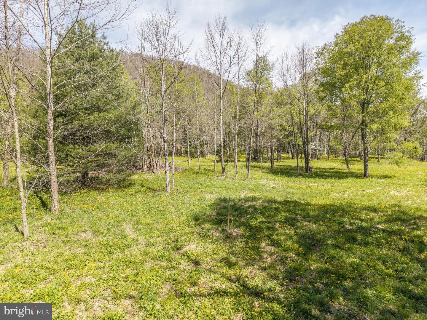 2084 Little Italy Rd Property Photo 79