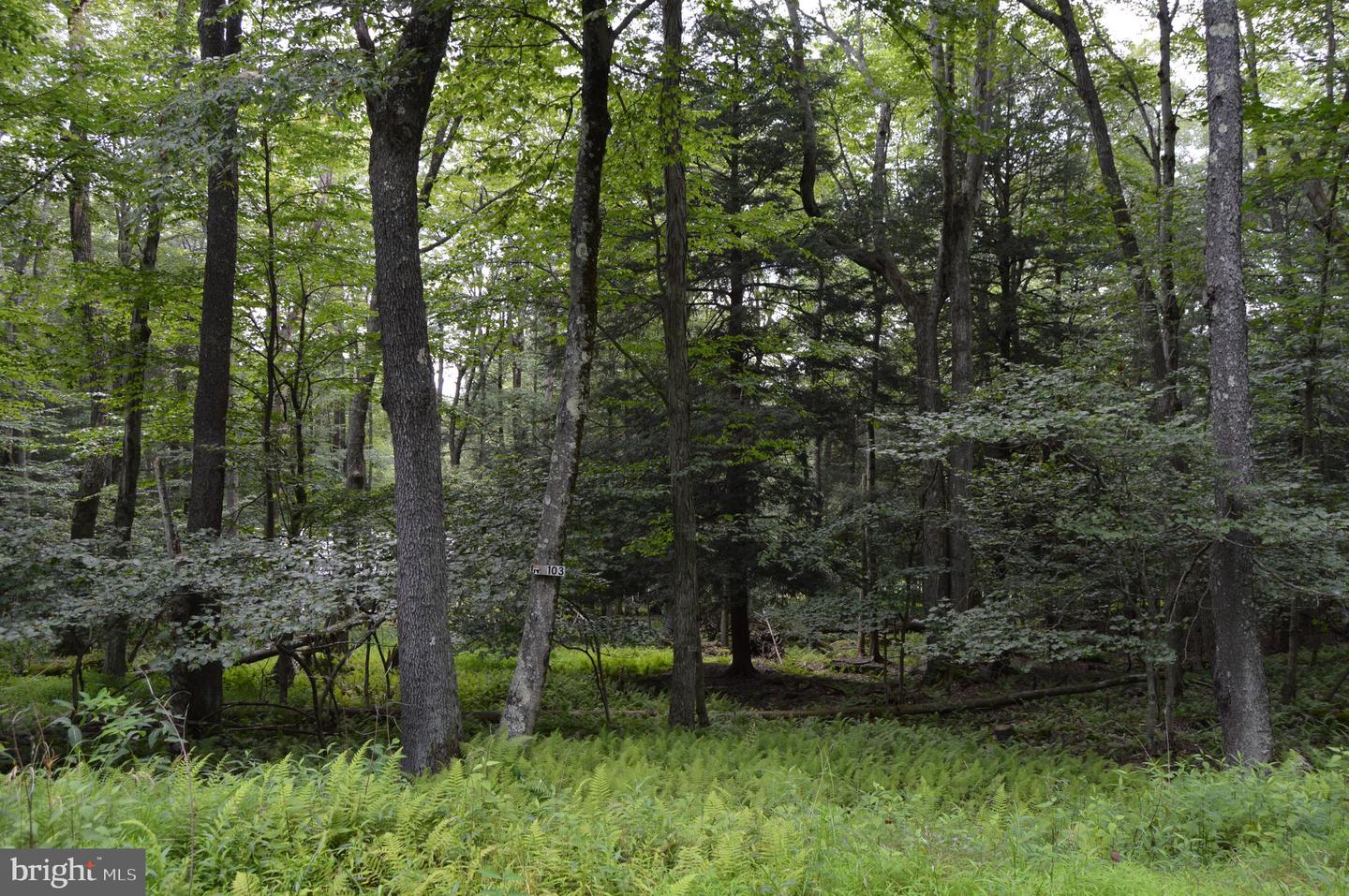 Lot 256 Azalea Ln Property Photo 1