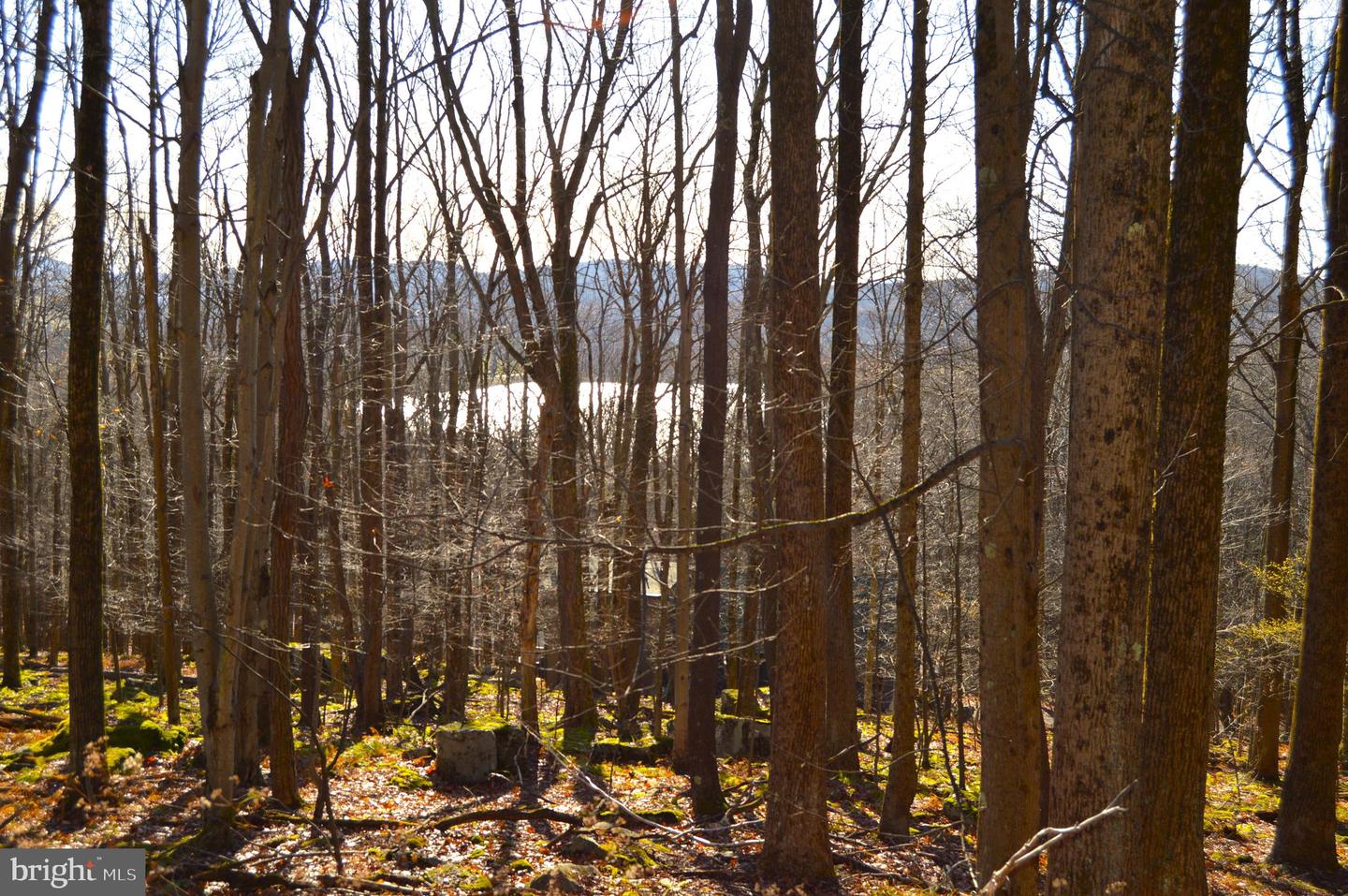 Lot 154 Daisy Dr Property Photo 1