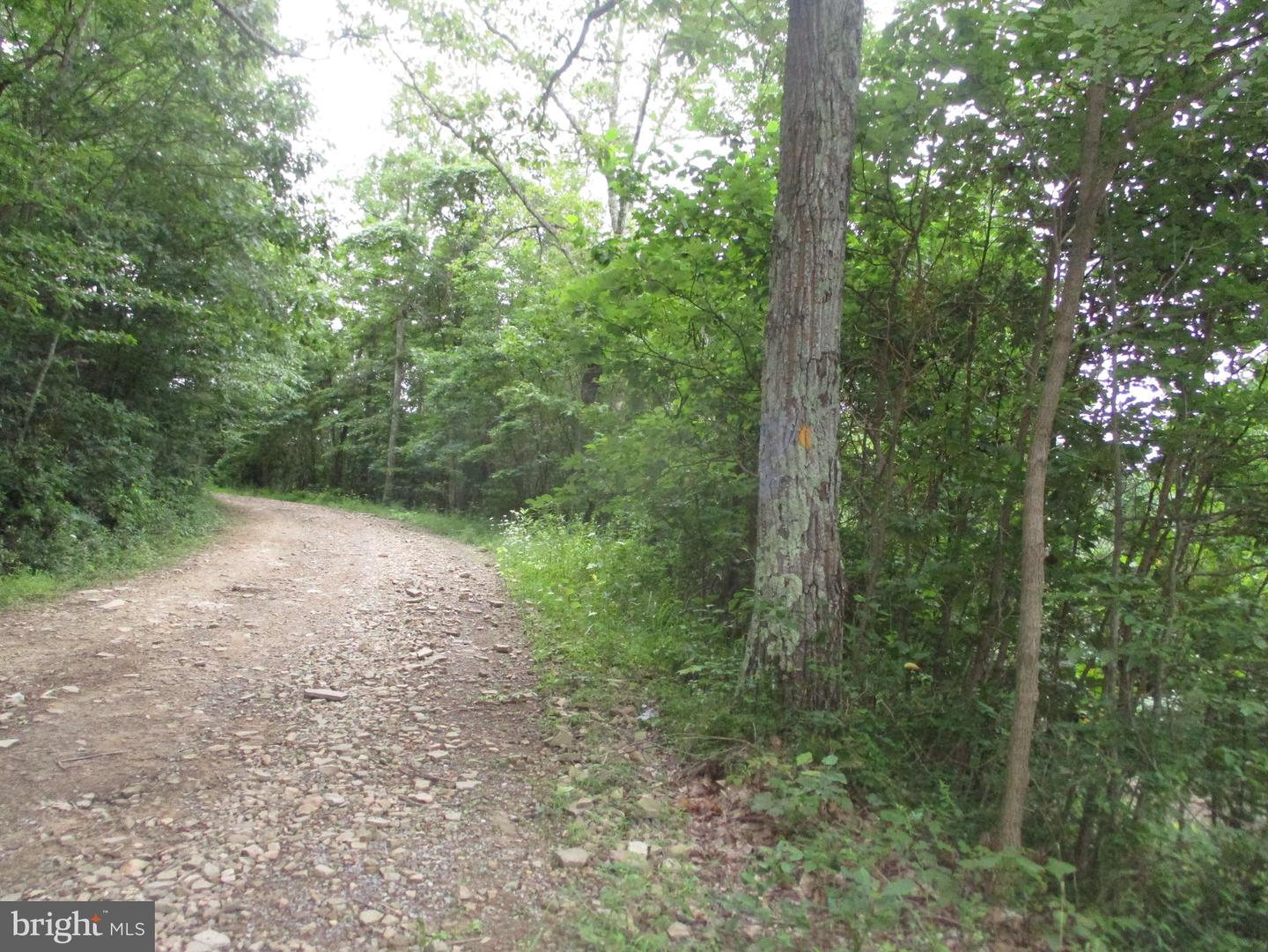 1000 Snake Rd Property Photo 1