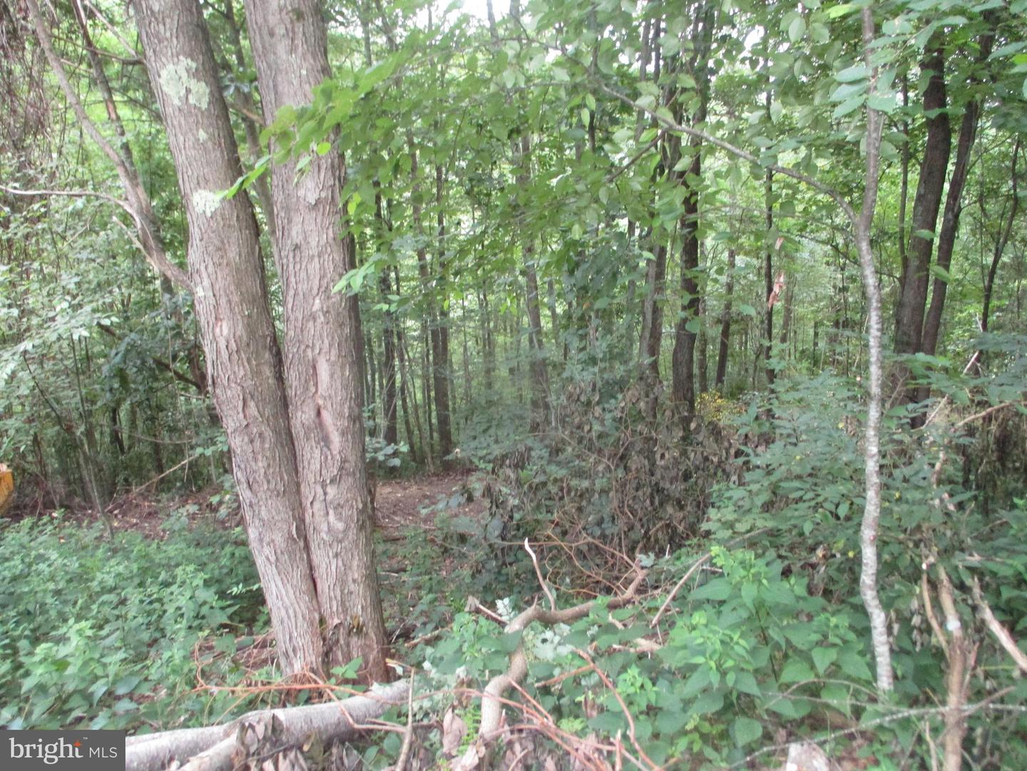 1000 Snake Rd Property Photo 2
