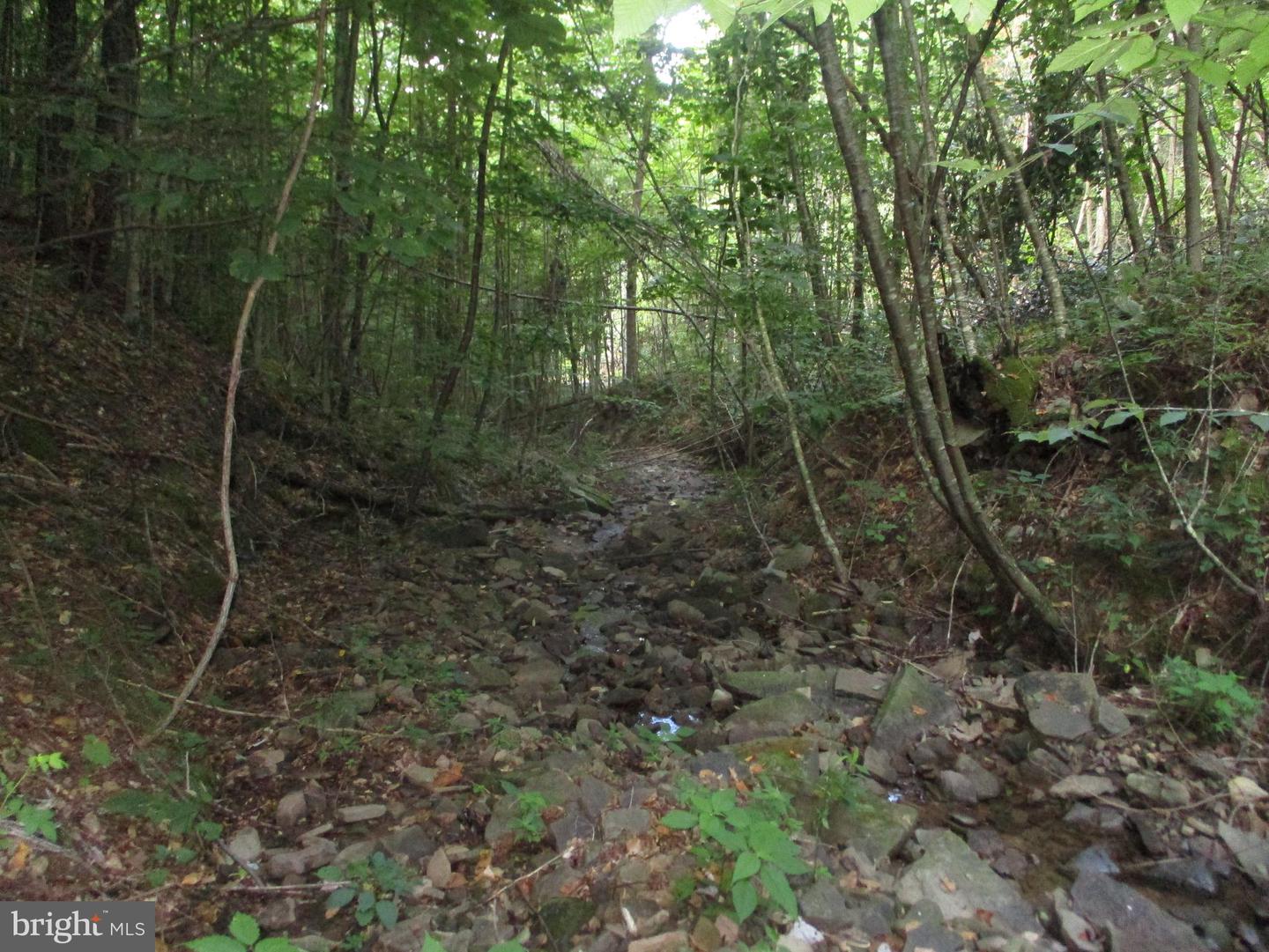 1000 Snake Rd Property Photo 3