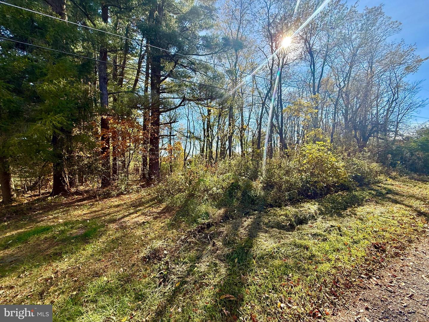Pleasant Street Property Photo 2