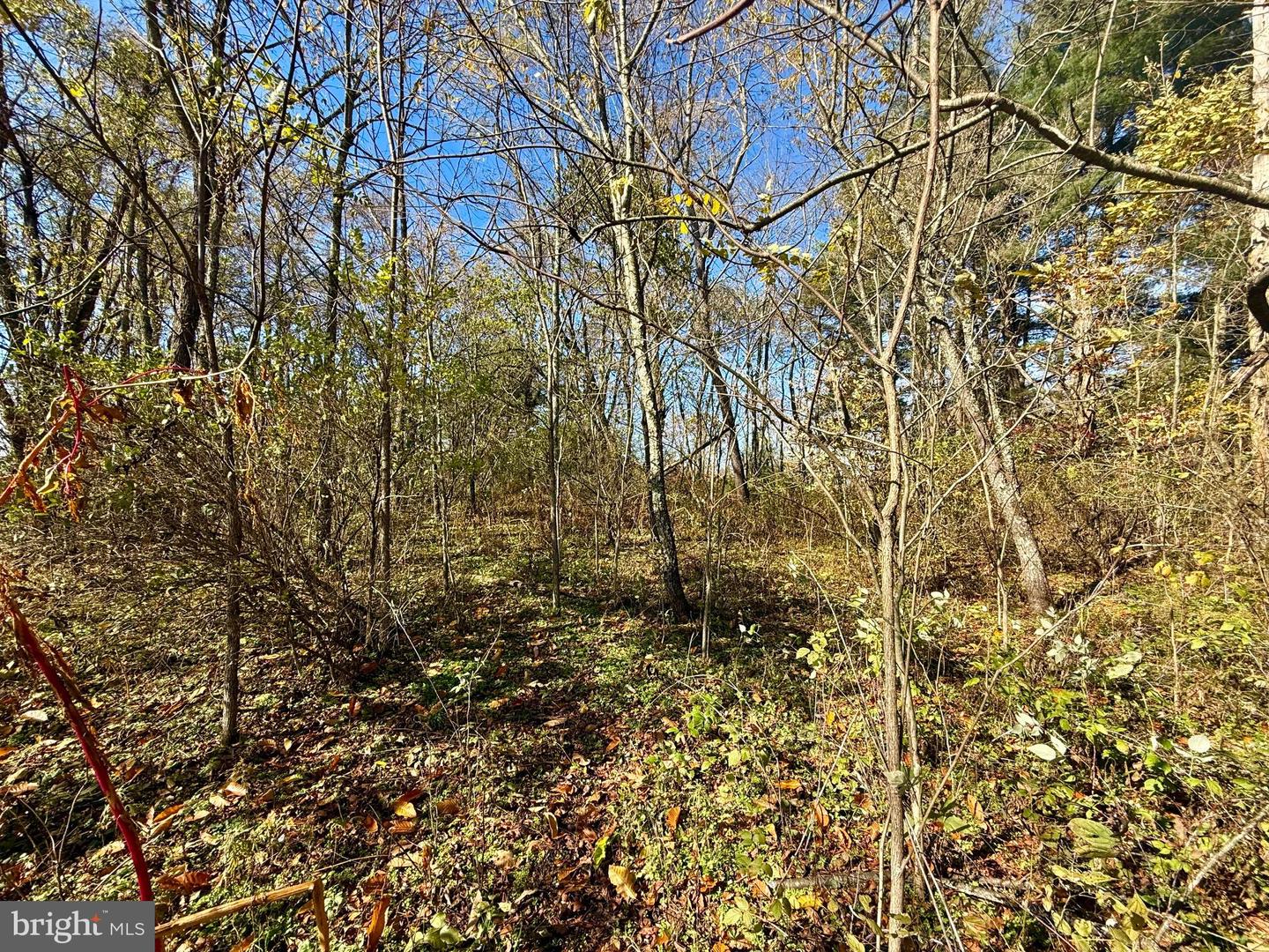 Pleasant Street Property Photo 4