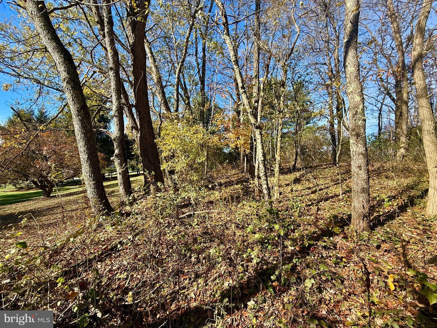 Pleasant Street Property Photo 5
