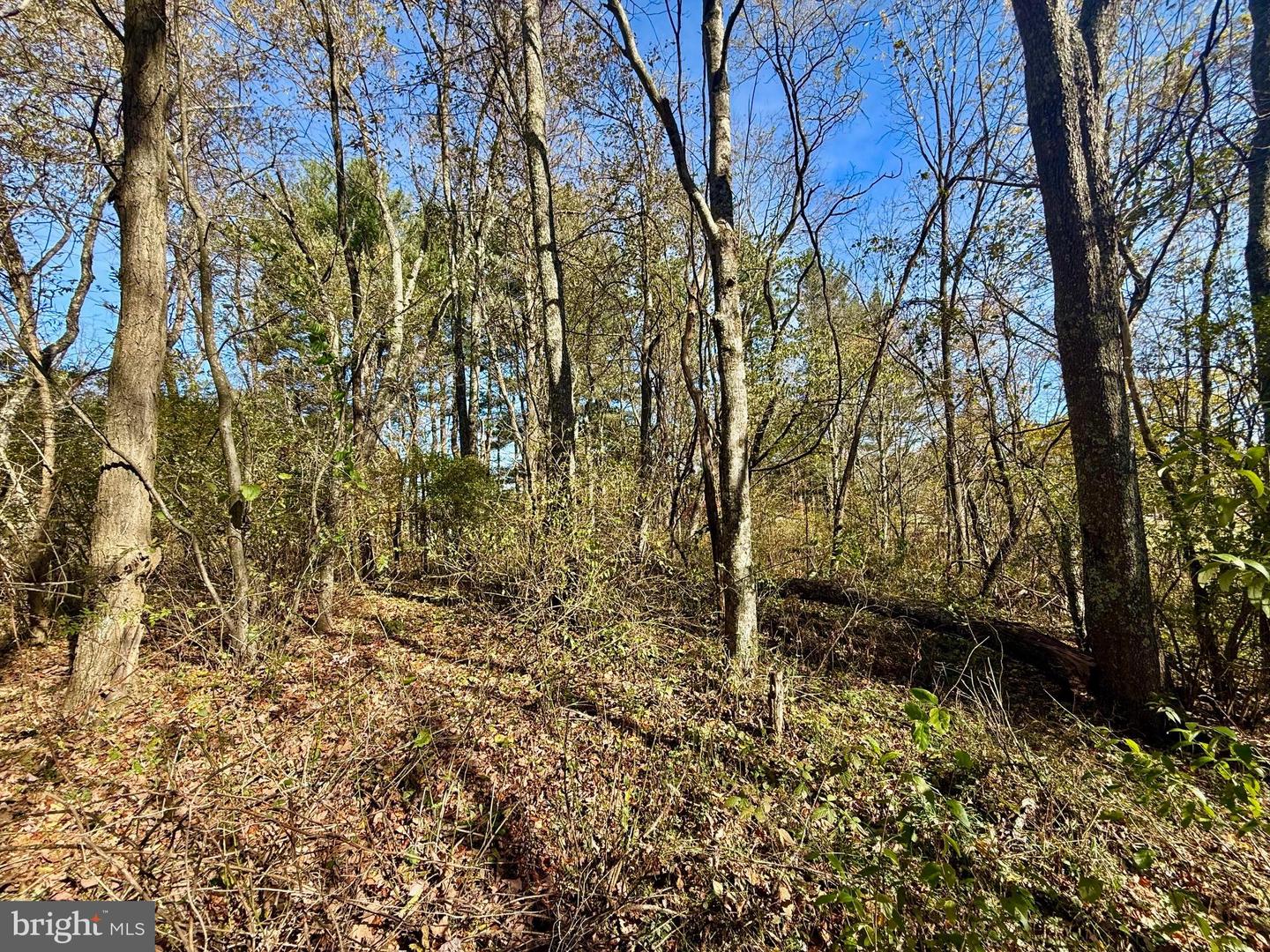 Pleasant Street Property Photo 6