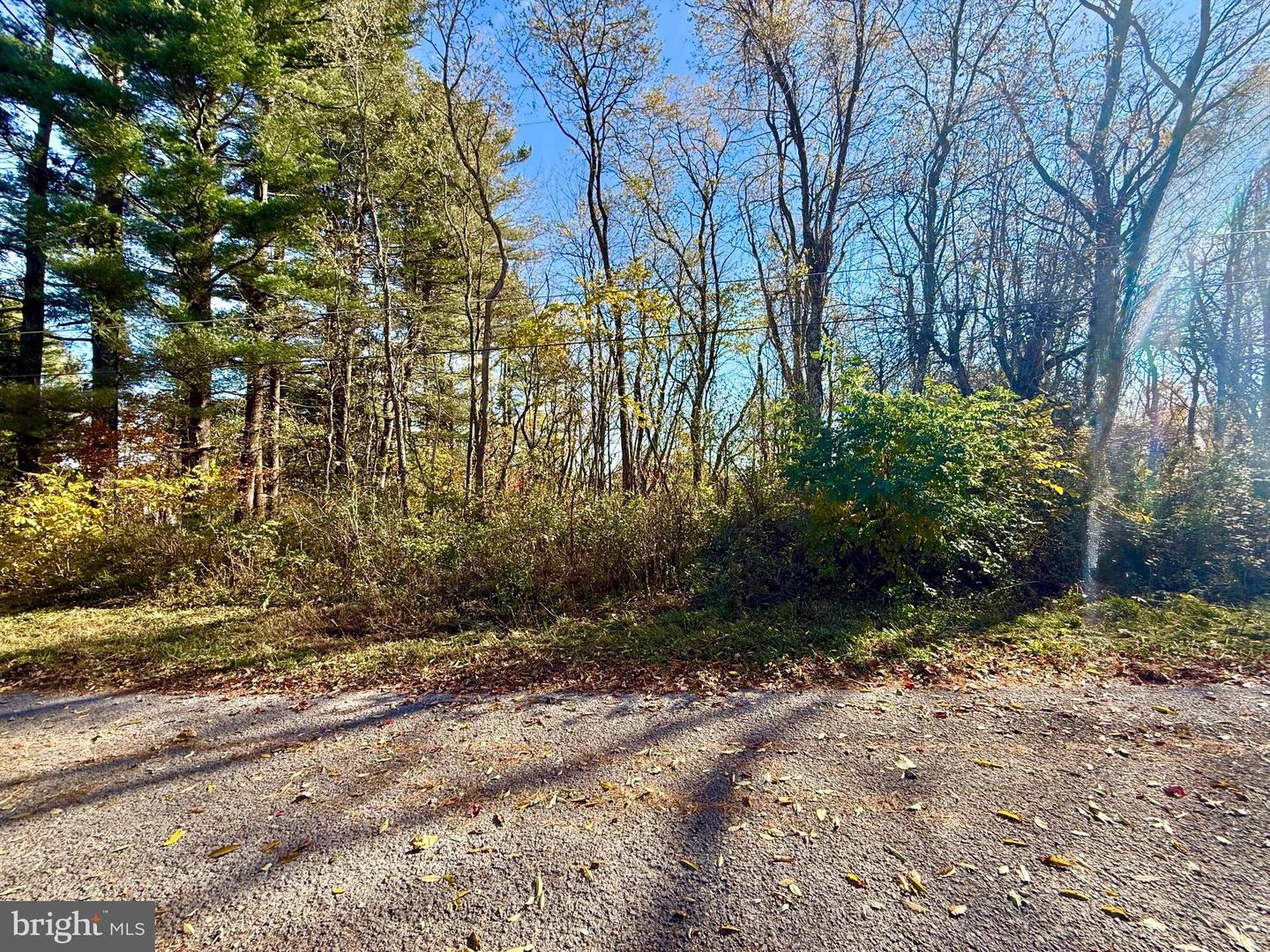 Pleasant Street Property Photo 9