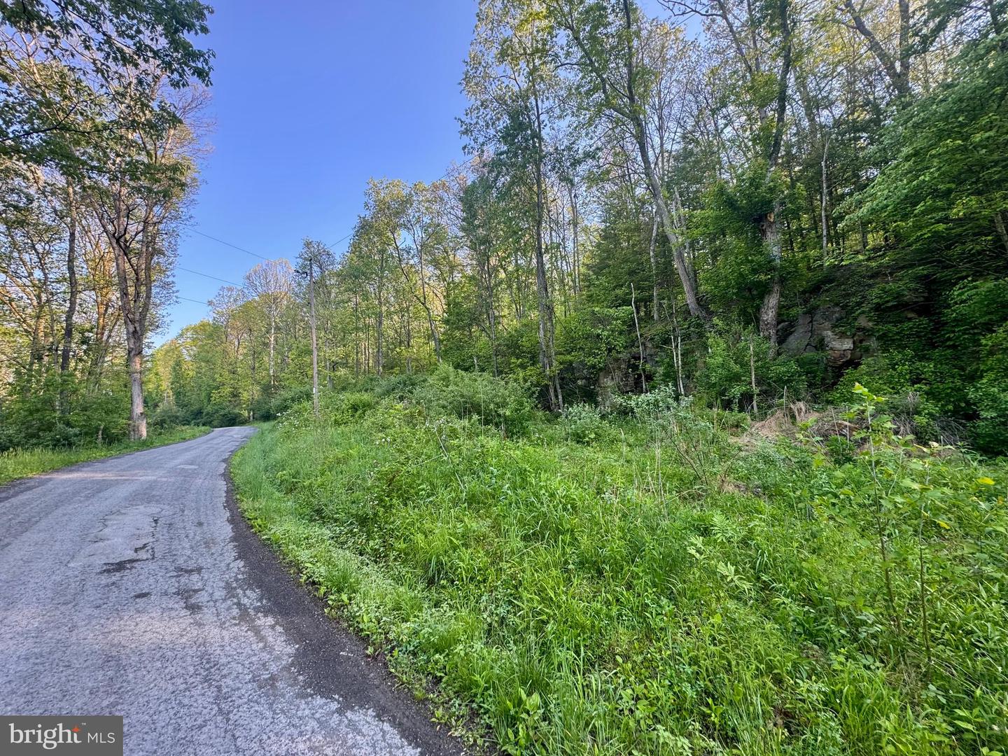 Tract A - John Orr Rd Property Photo 10