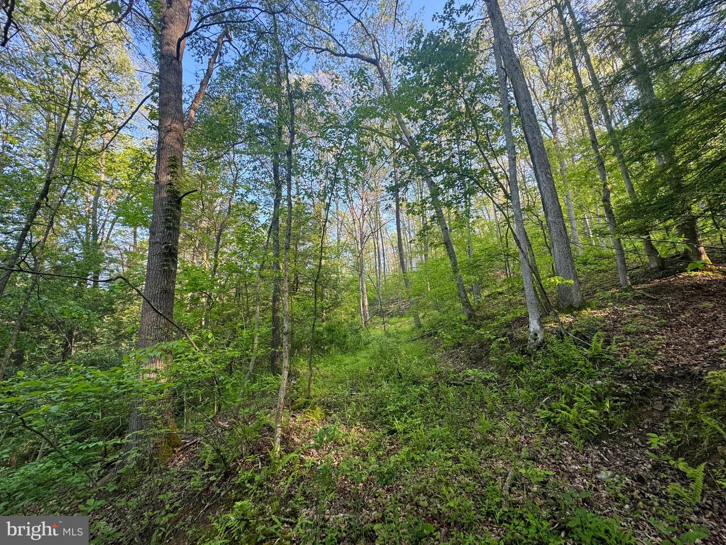 Tract A - John Orr Rd Property Photo 11