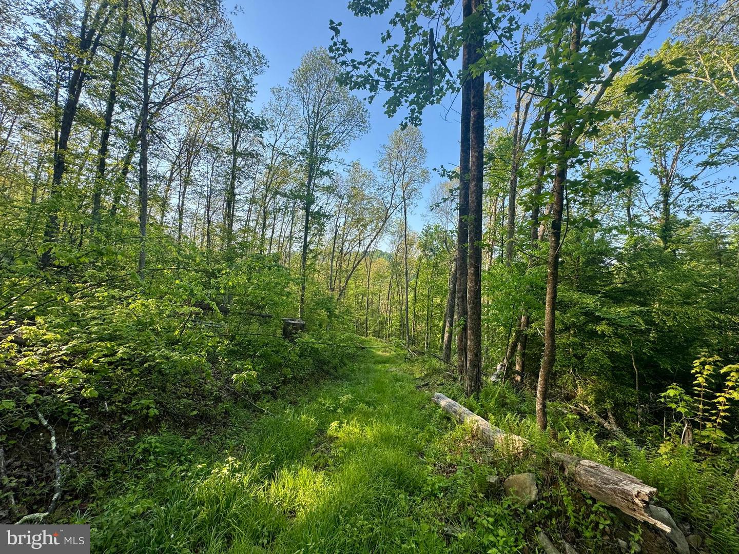 Tract A - John Orr Rd Property Photo 15