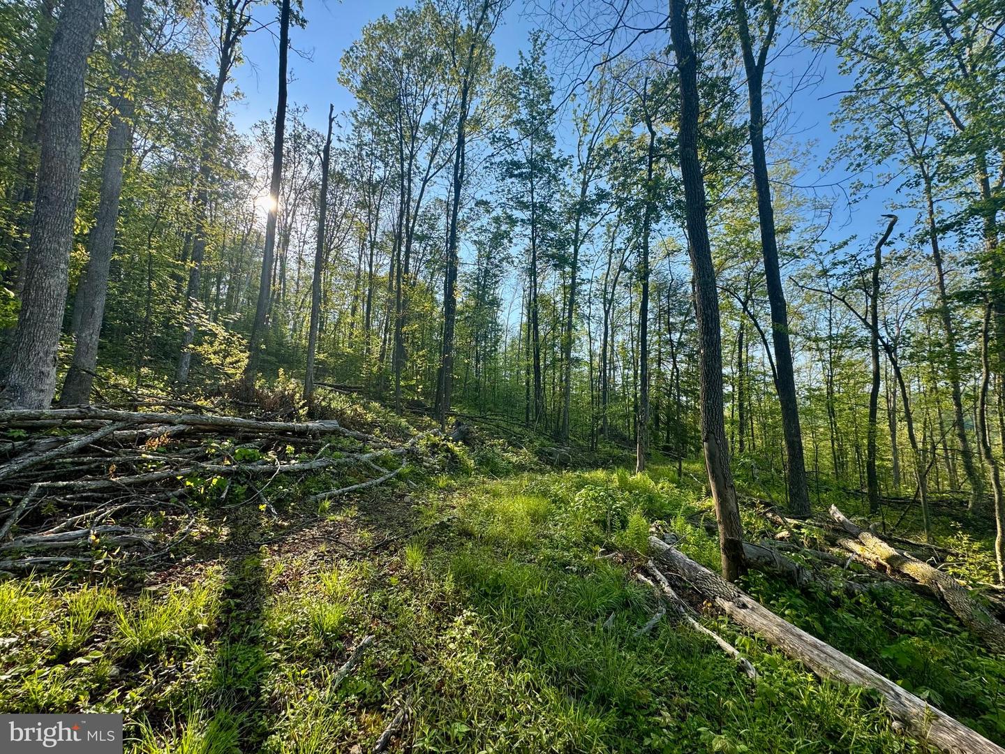 Tract A - John Orr Rd Property Photo 16