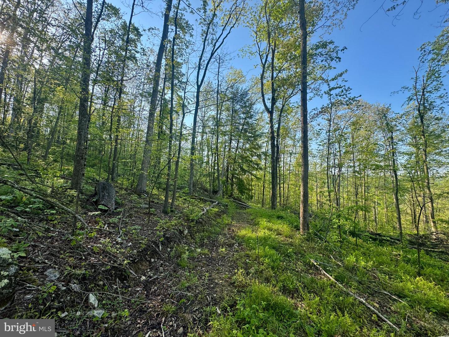 Tract A - John Orr Rd Property Photo 17