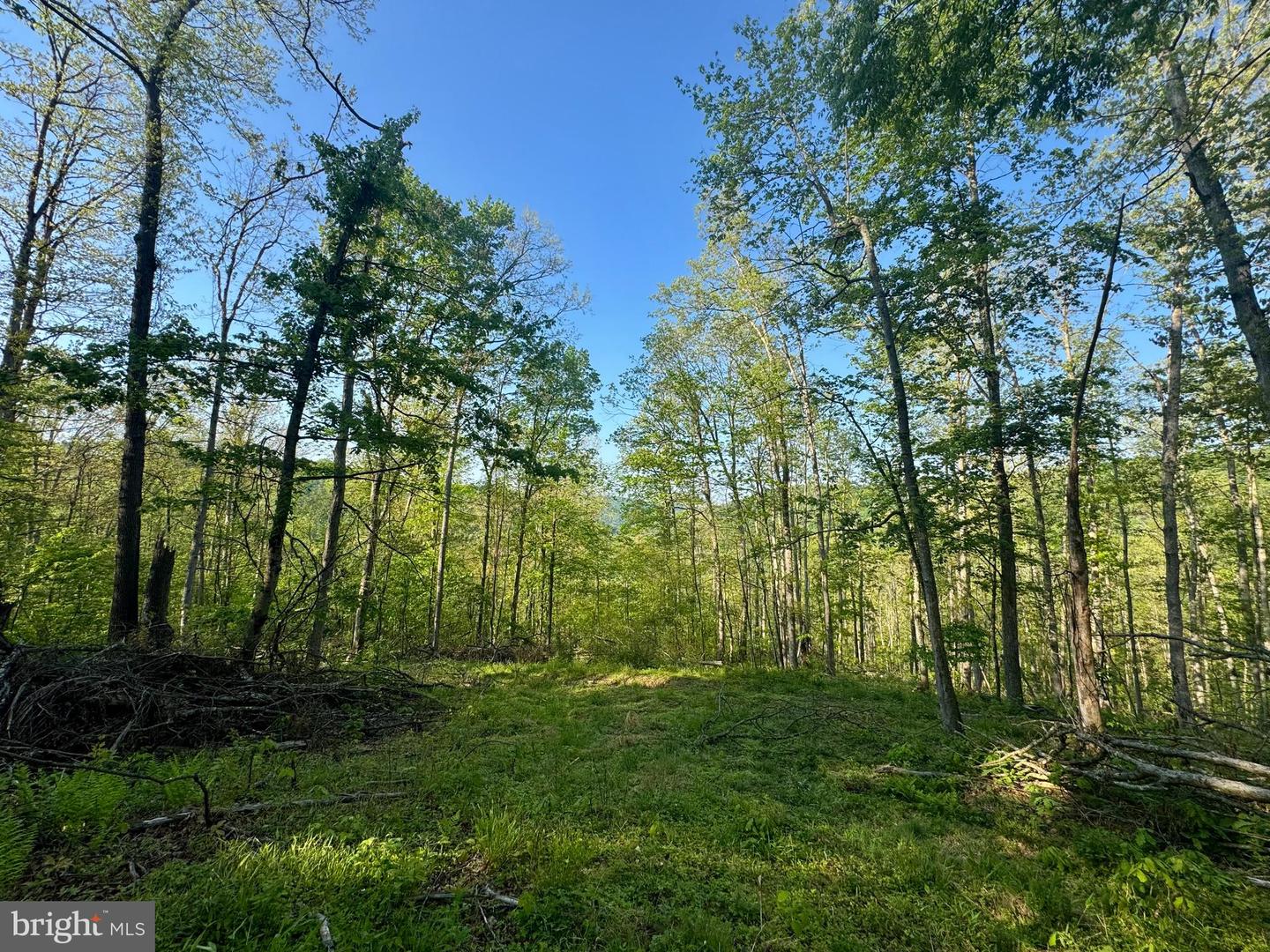 Tract A - John Orr Rd Property Photo 18