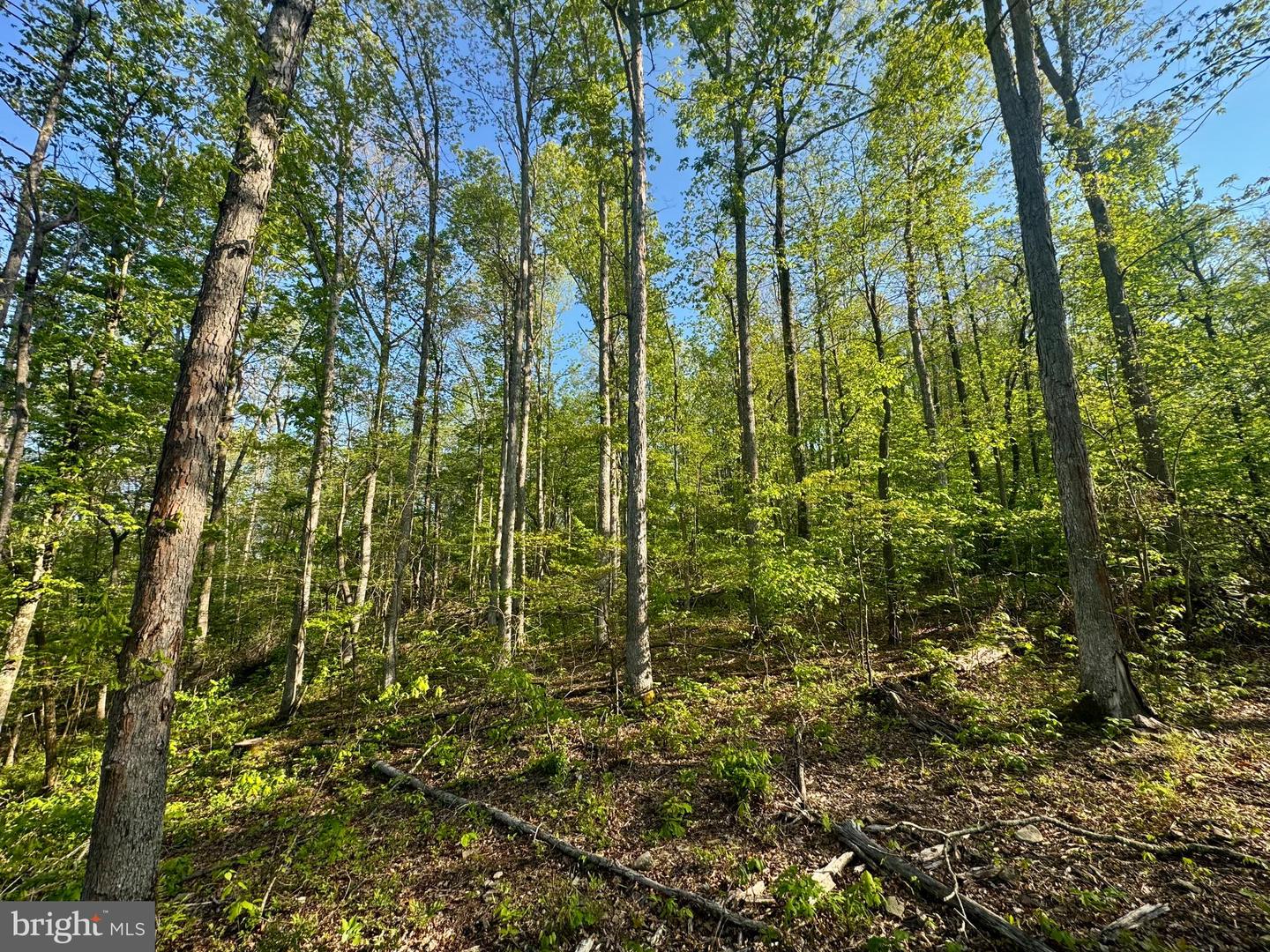 Tract A - John Orr Rd Property Photo 19