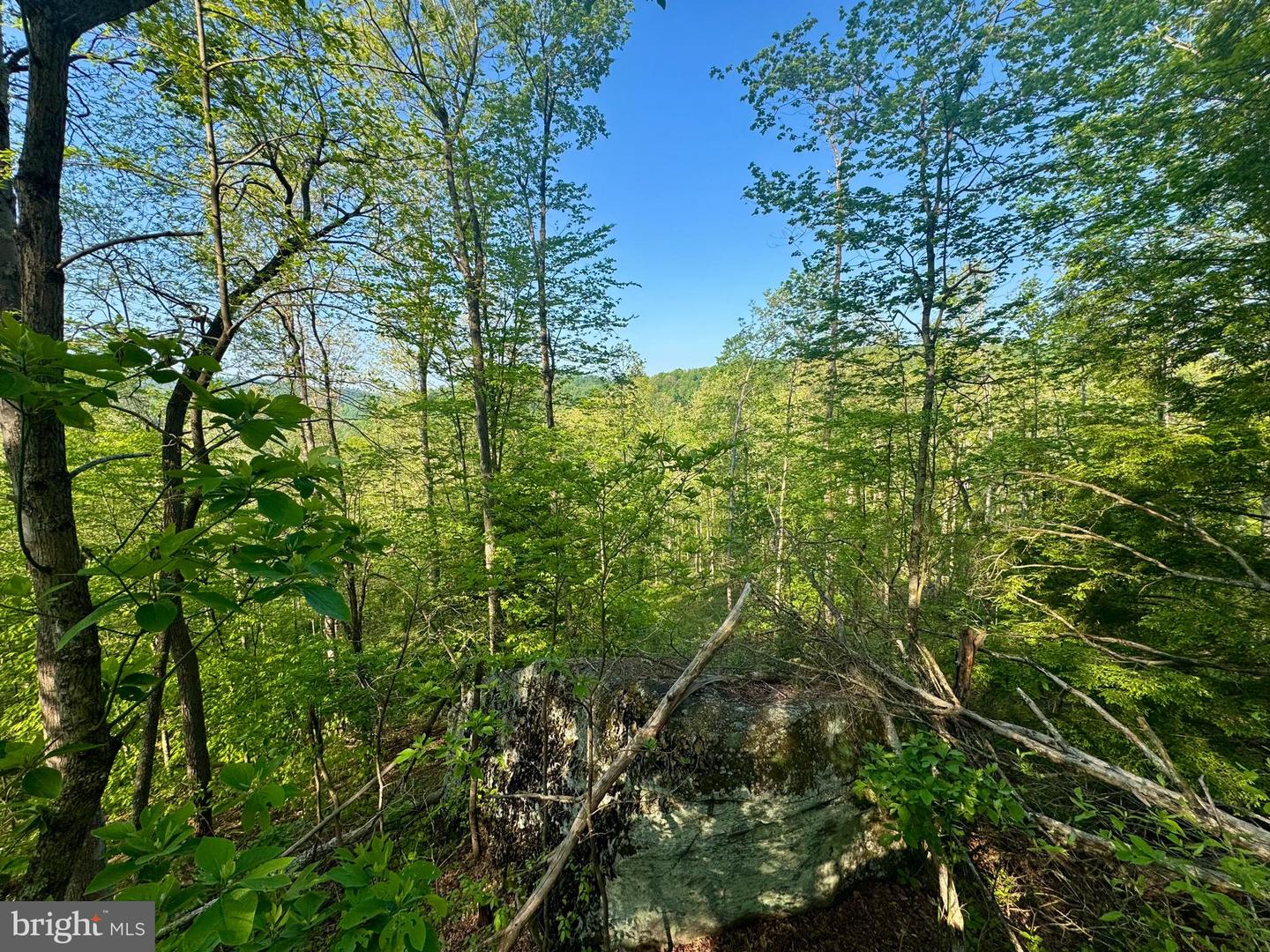 Tract A - John Orr Rd Property Photo 21