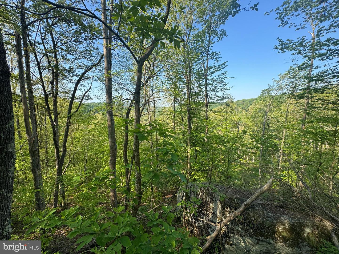 Tract A - John Orr Rd Property Photo 23
