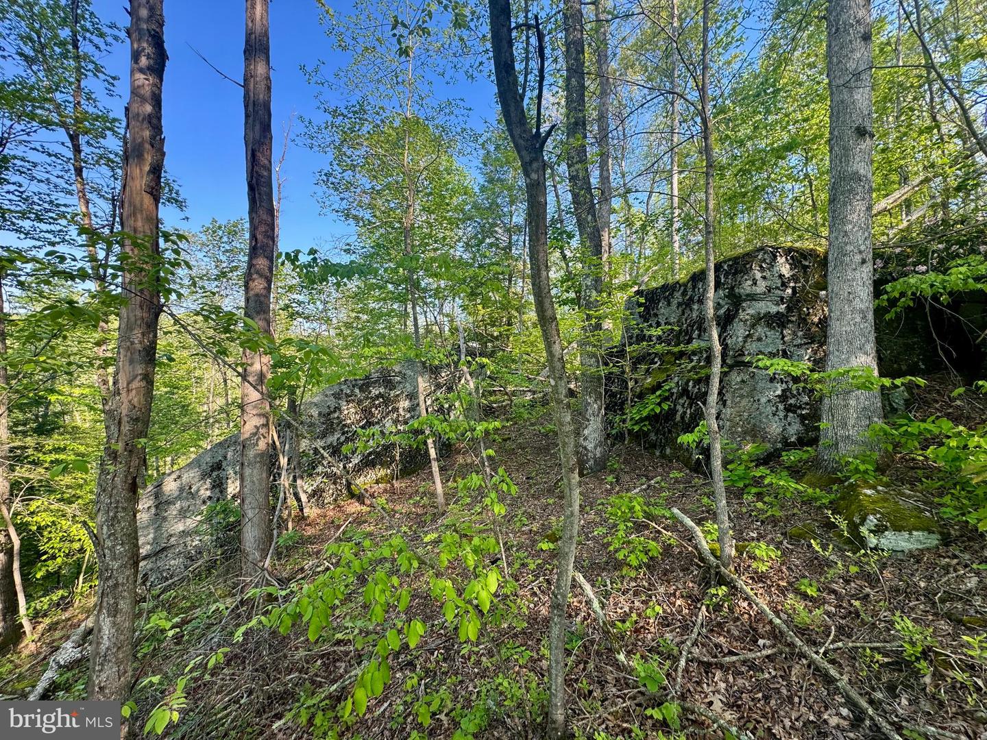 Tract A - John Orr Rd Property Photo 25