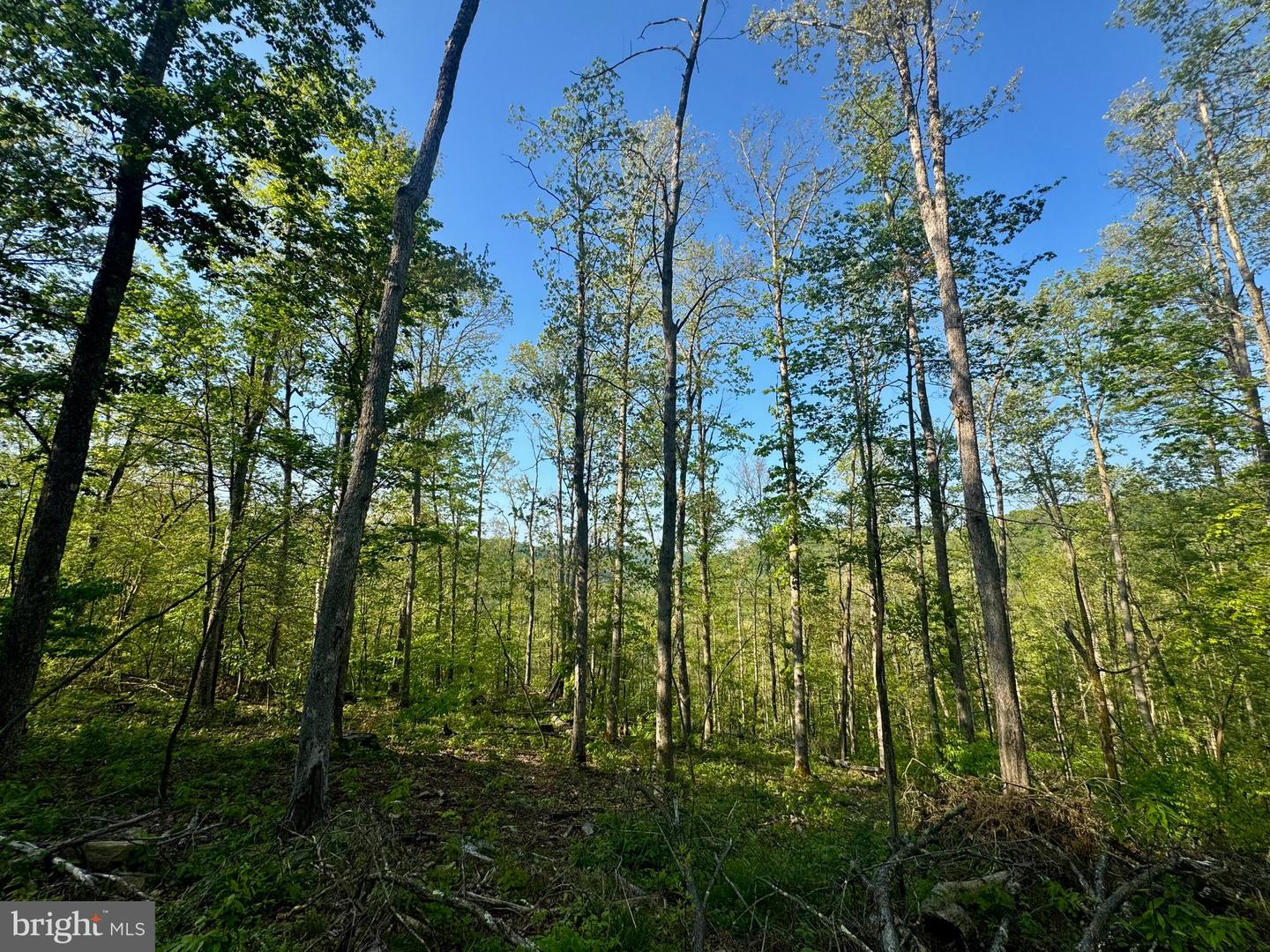 Tract A - John Orr Rd Property Photo 28