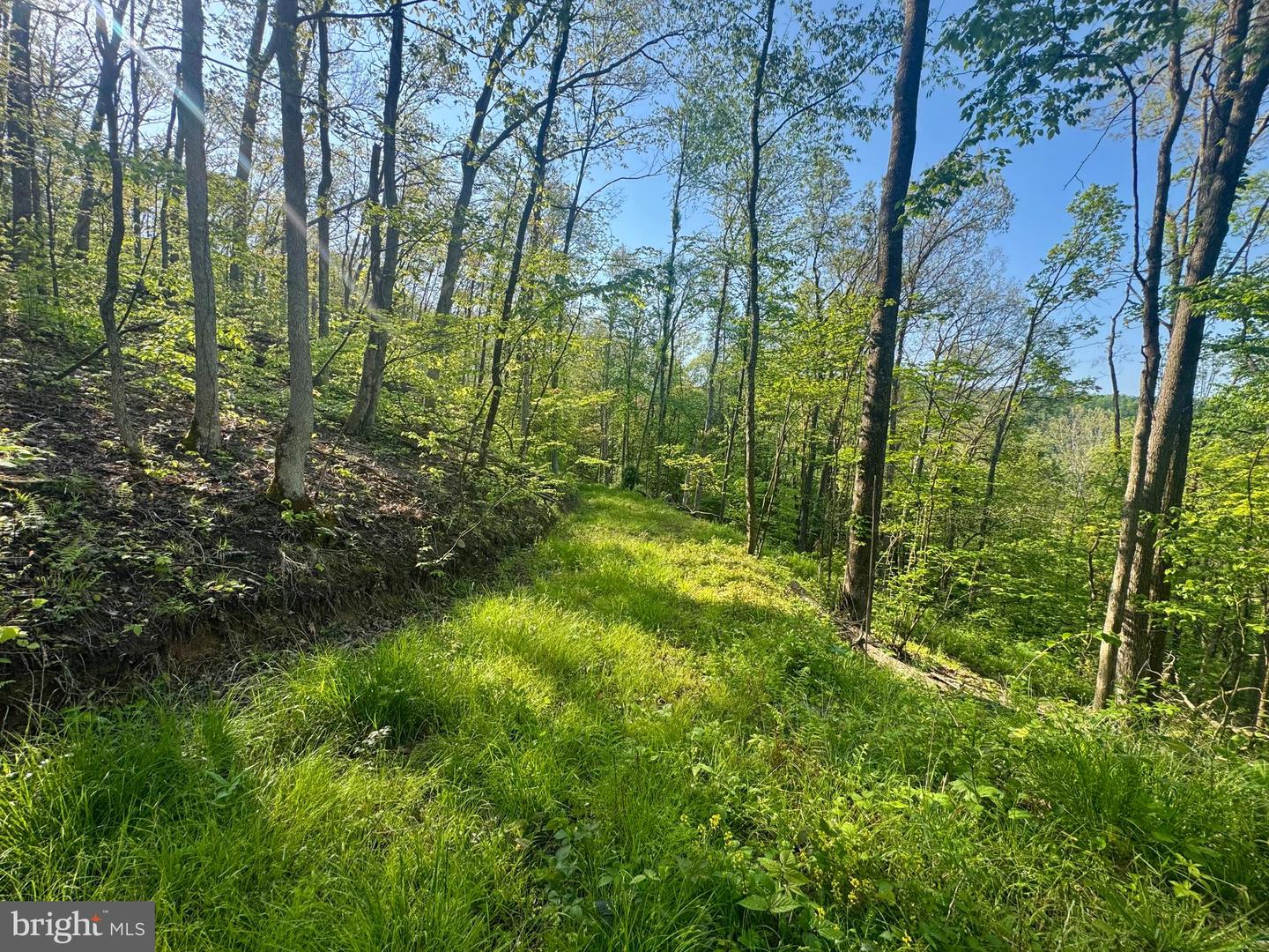 Tract A - John Orr Rd Property Photo 29