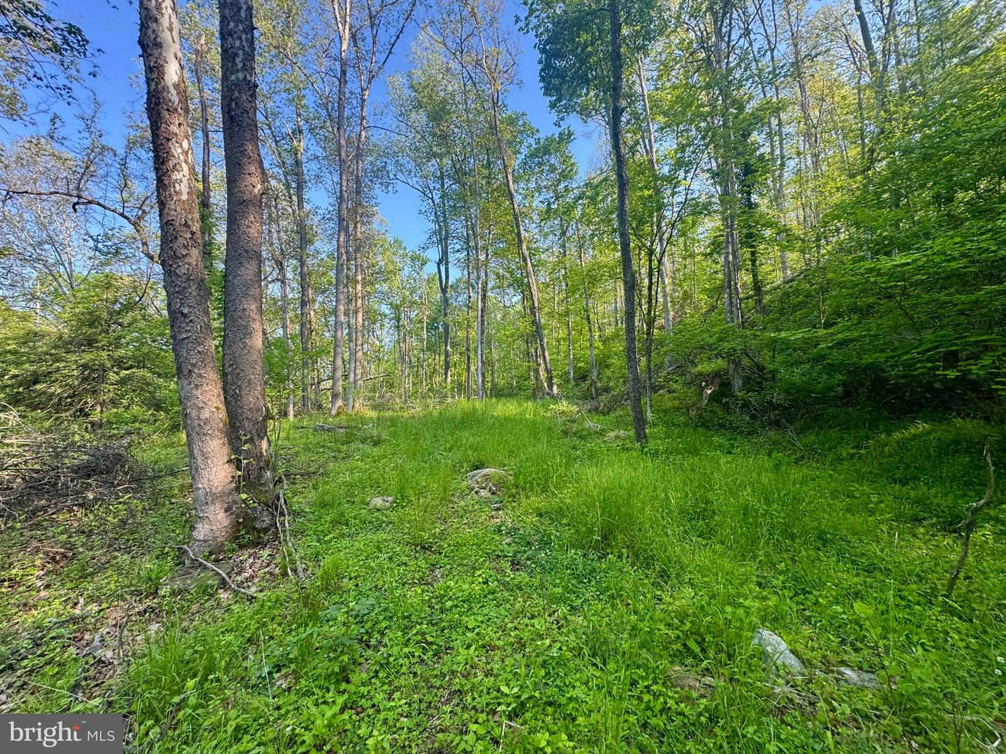 Tract A - John Orr Rd Property Photo 30