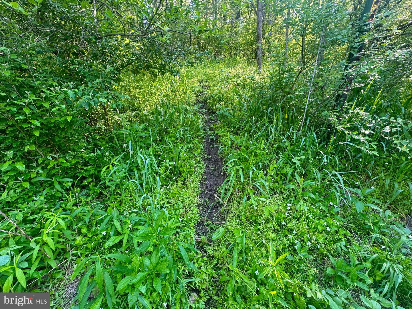 Tract A - John Orr Rd Property Photo 37