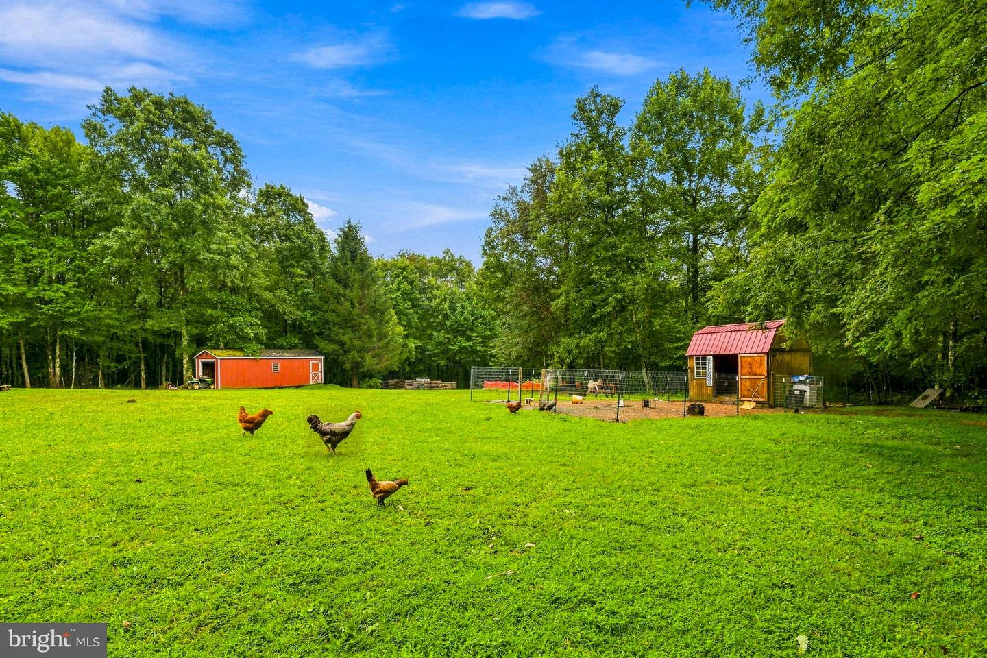 1366 Deer Haven Rd Property Photo 27