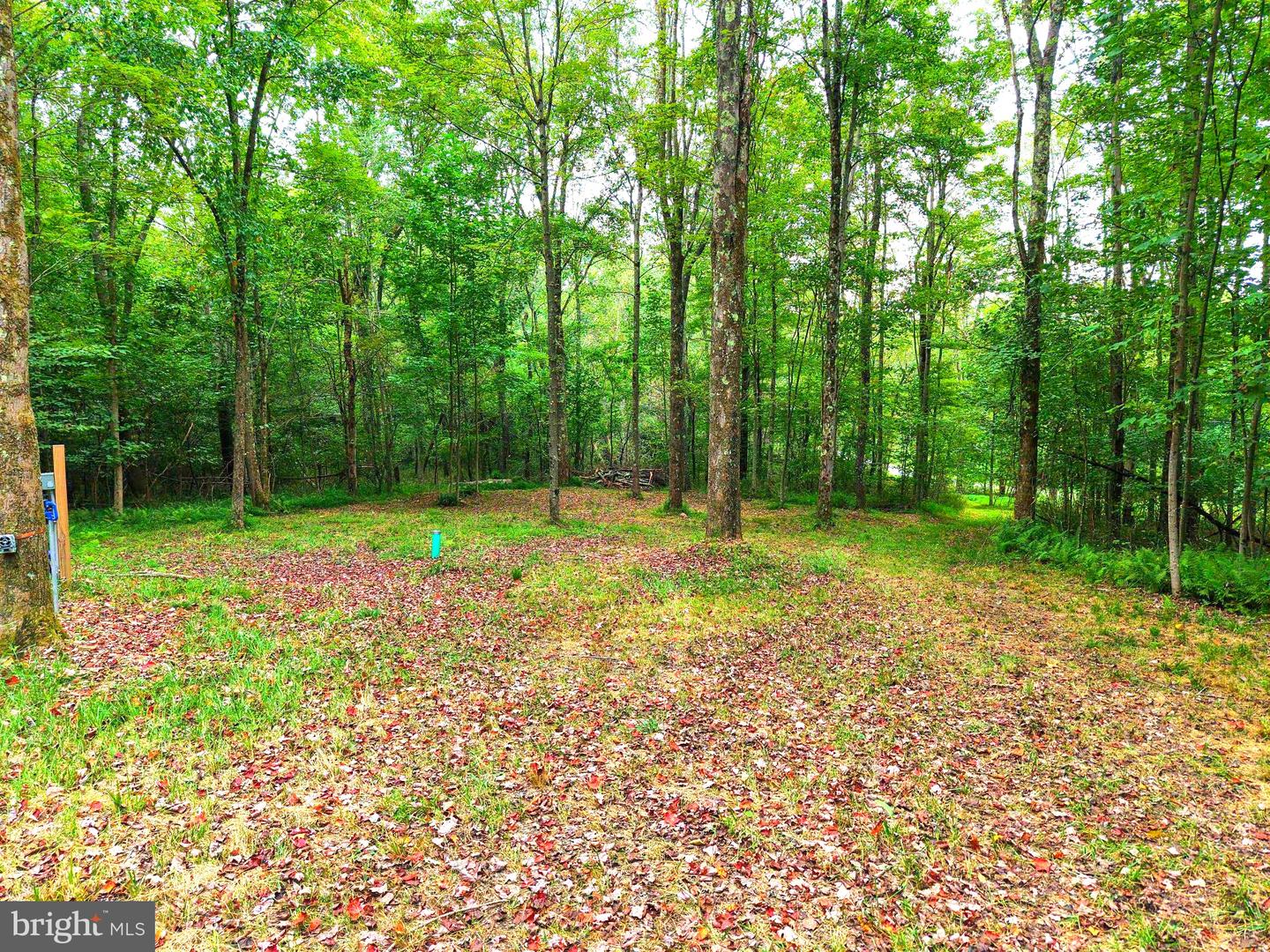 129 Grouse Run Rd Property Photo 17
