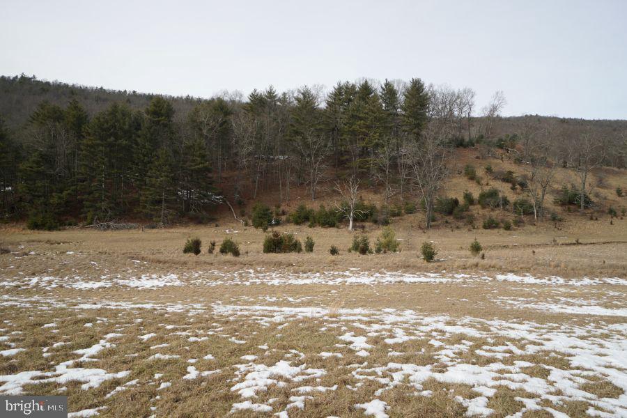 255 Troublesome Valley Rd Property Photo 57