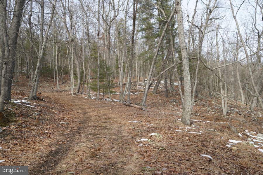255 Troublesome Valley Rd Property Photo 71