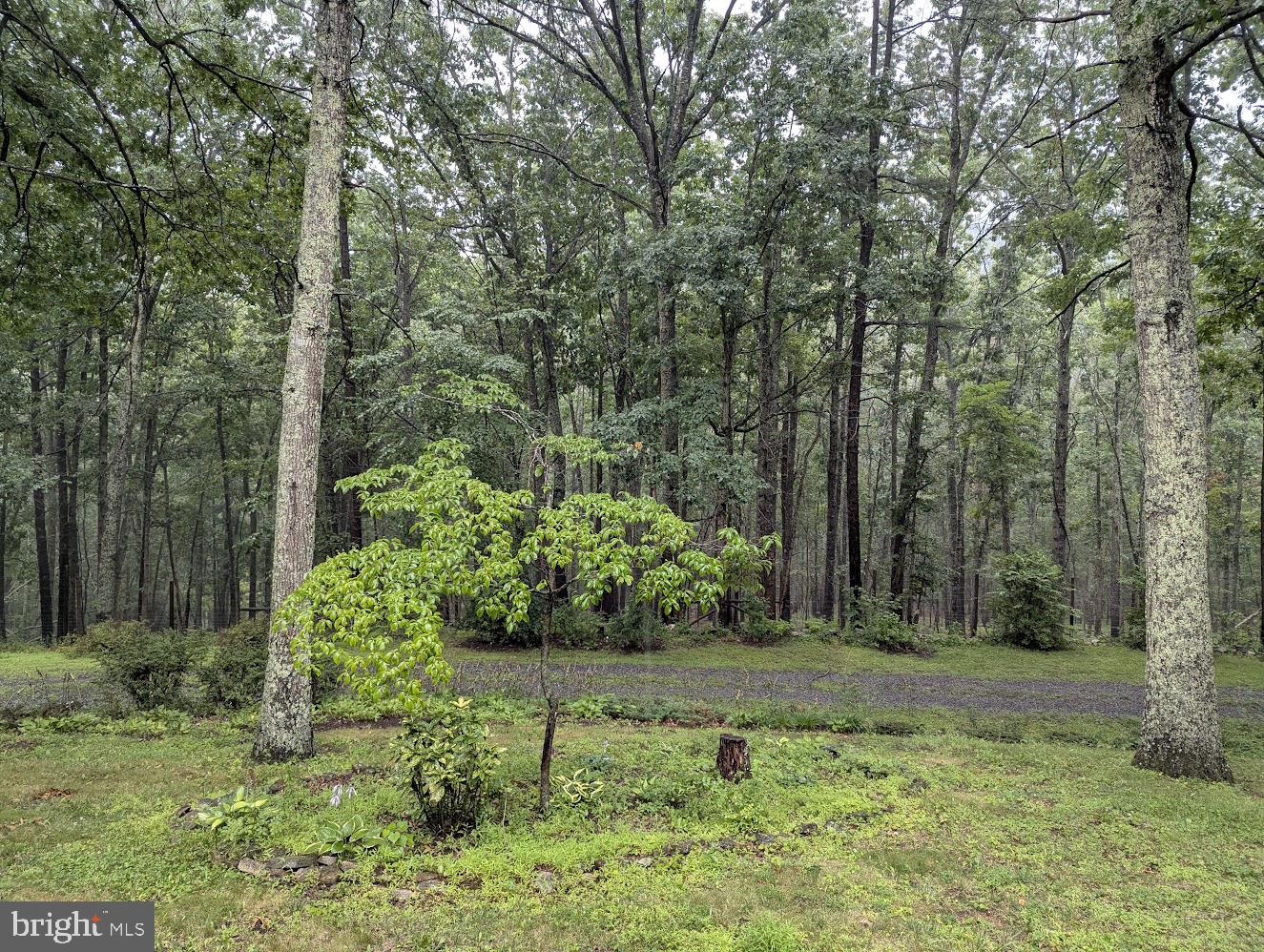1537 Hidden Valley Rd Property Photo 12