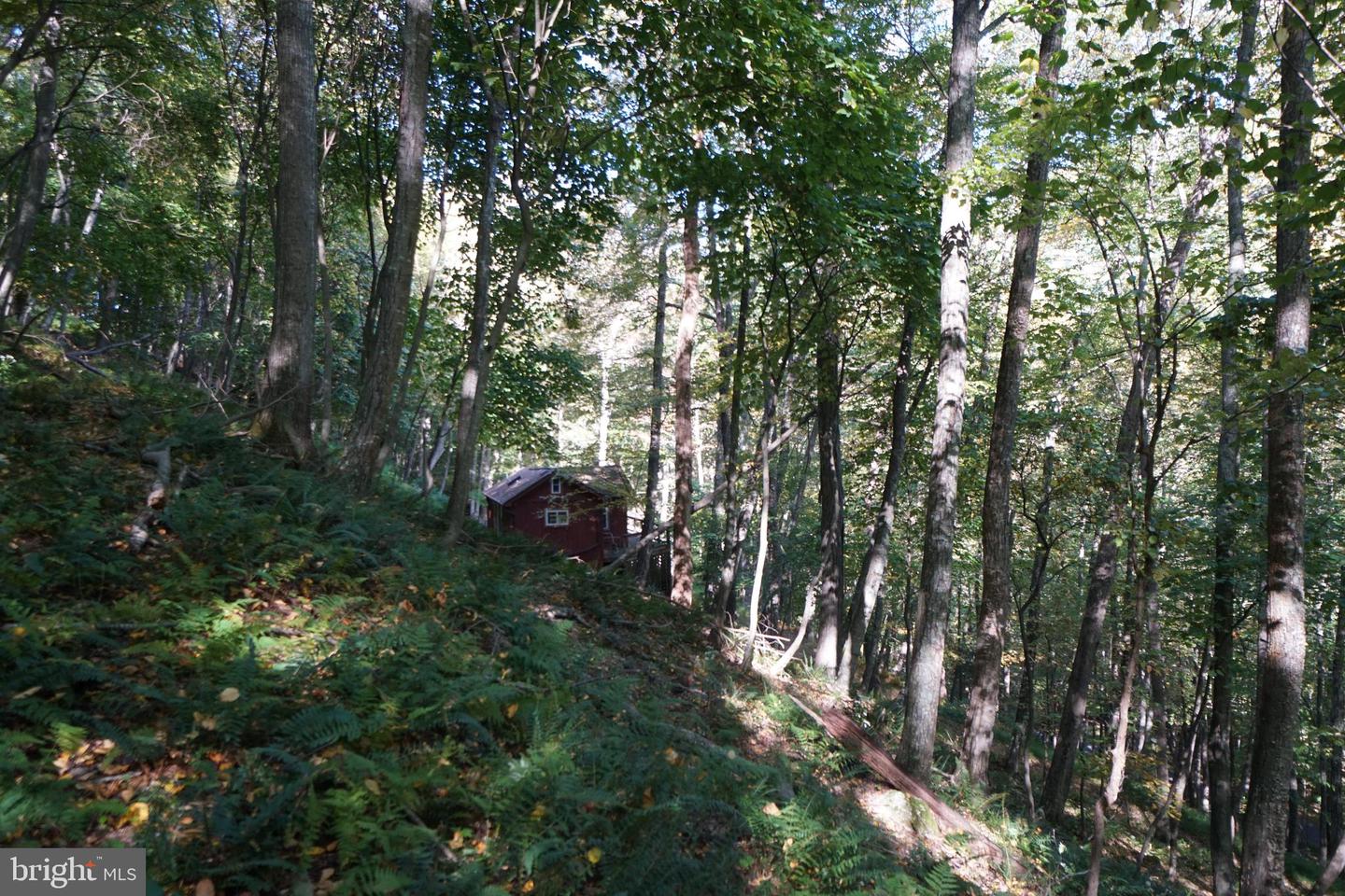 1453 Dry Run Rd Property Photo 41