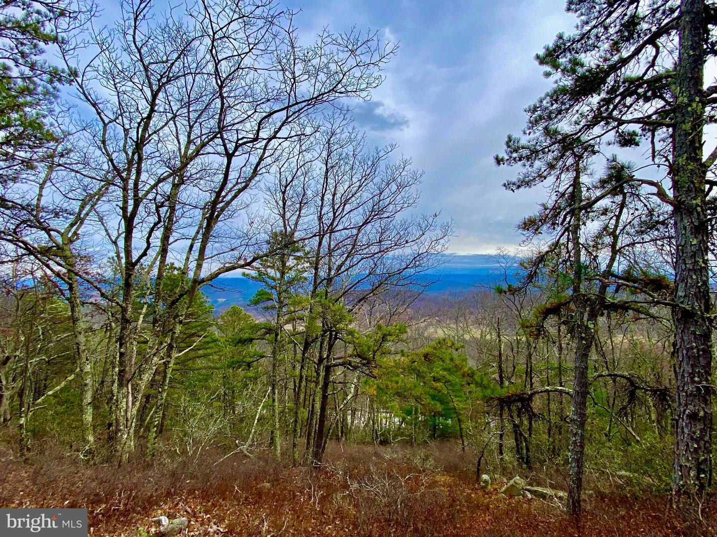 Tbd Route 33 Property Photo 4