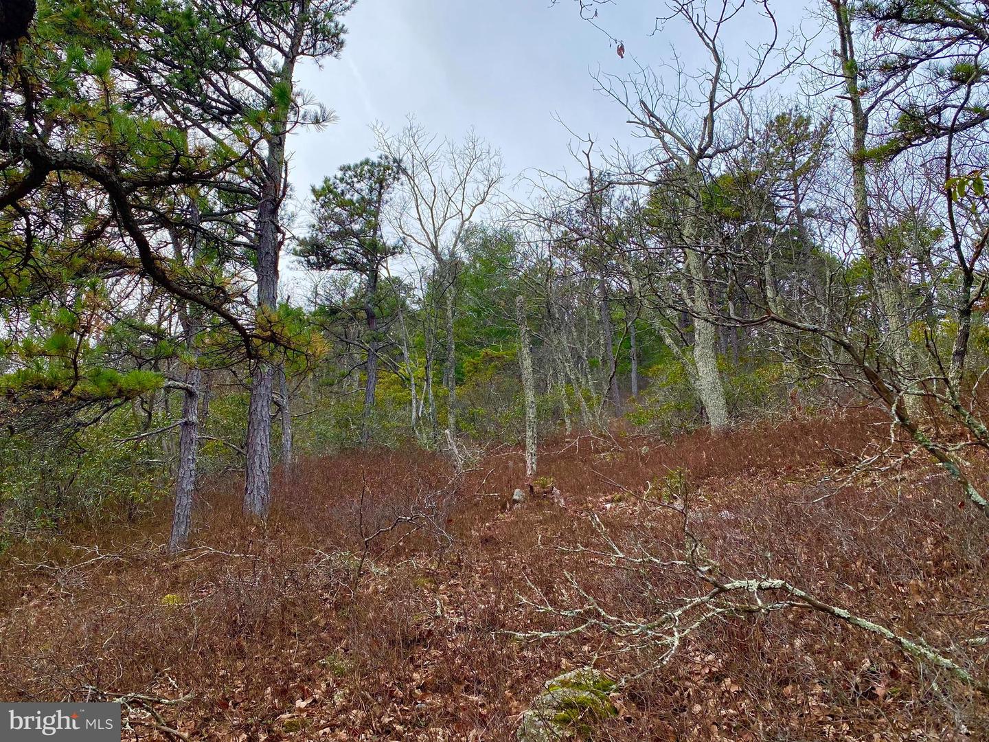Tbd Route 33 Property Photo 7
