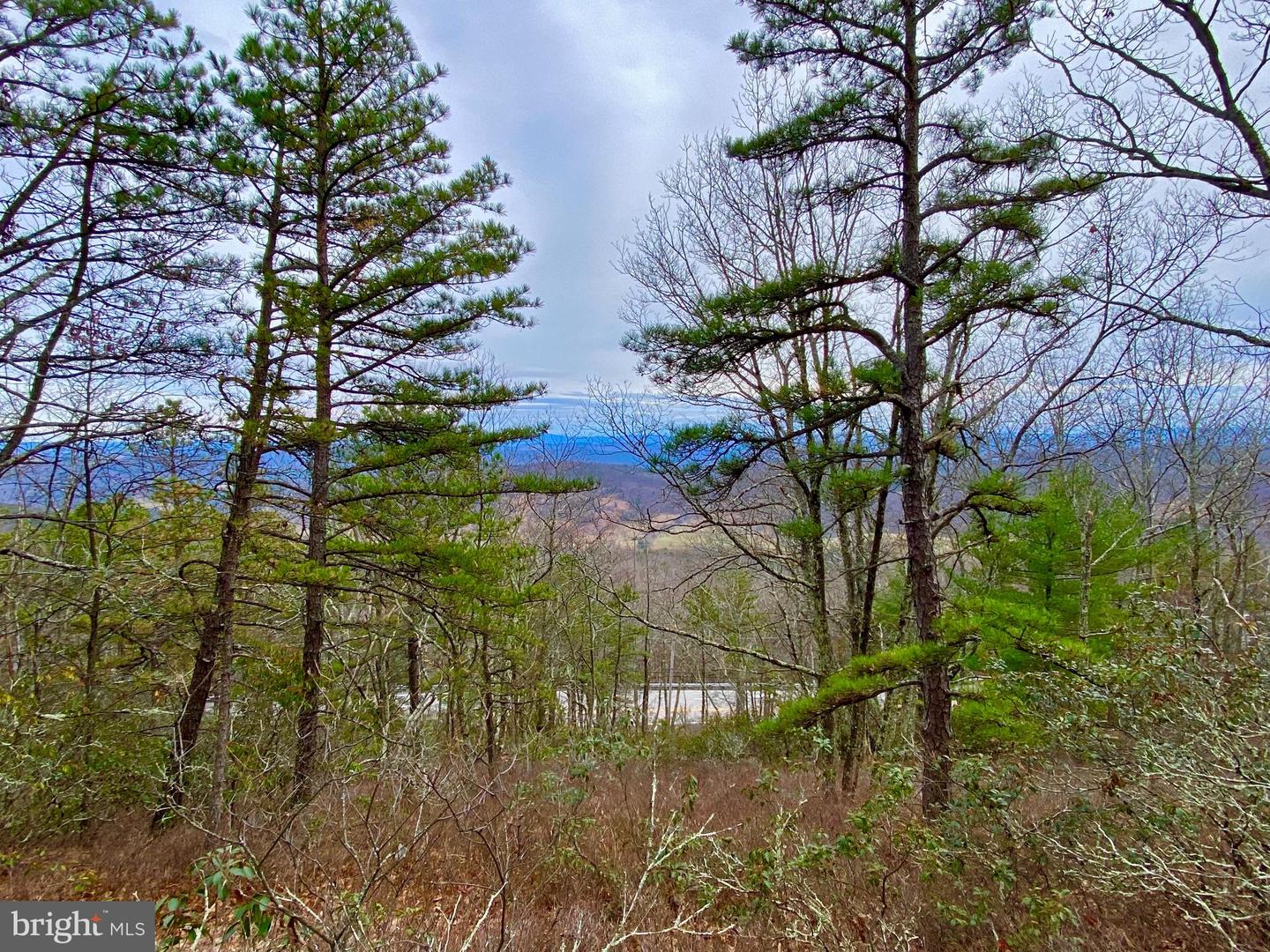 Tbd Route 33 Property Photo 8