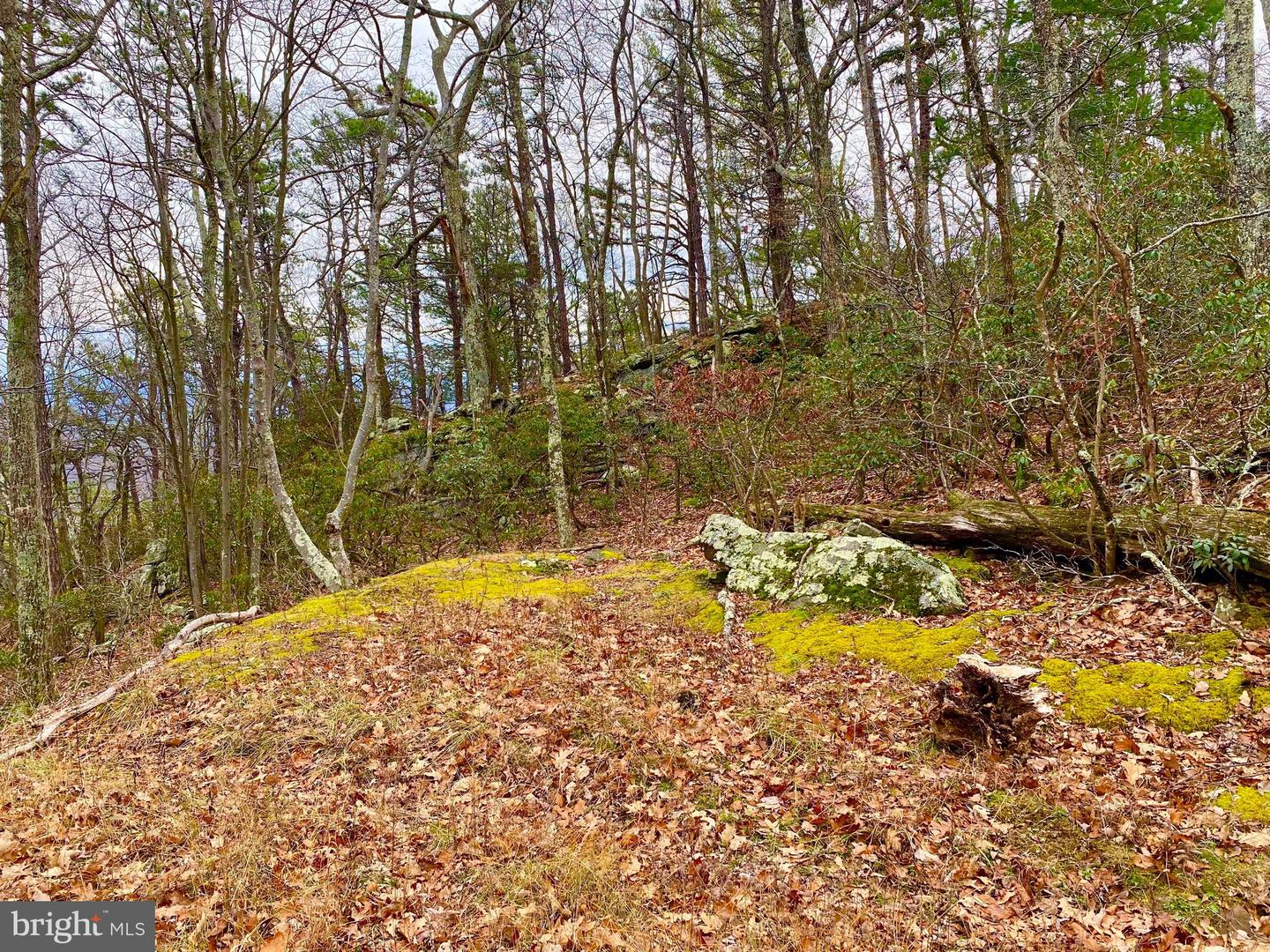 Tbd Route 33 Property Photo 10
