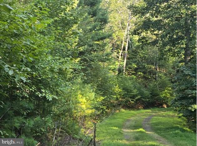 Native Trout Drive Property Photo 2