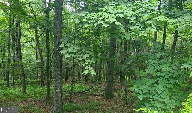 Native Trout Drive Property Photo 3