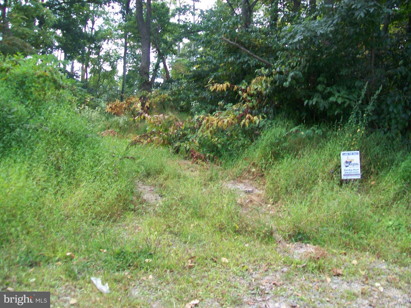 Native Trout Drive Property Photo 4