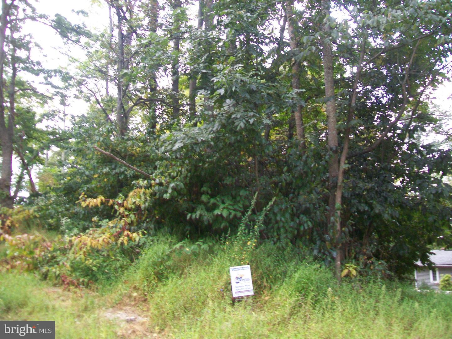 Native Trout Drive Property Photo 5