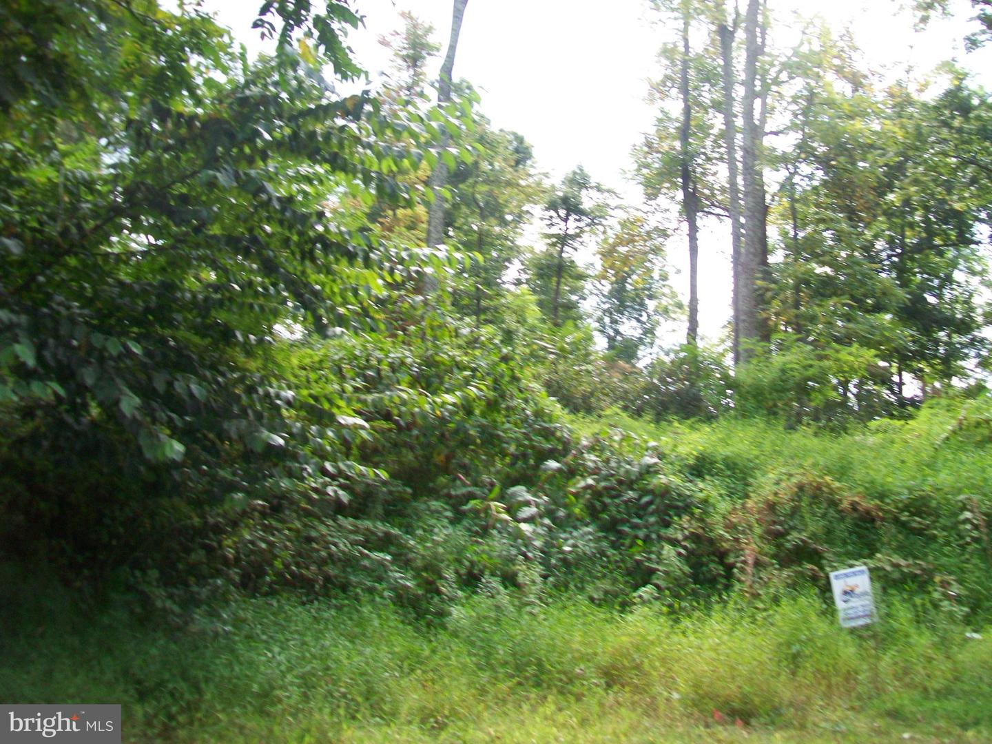 Native Trout Drive Property Photo 6