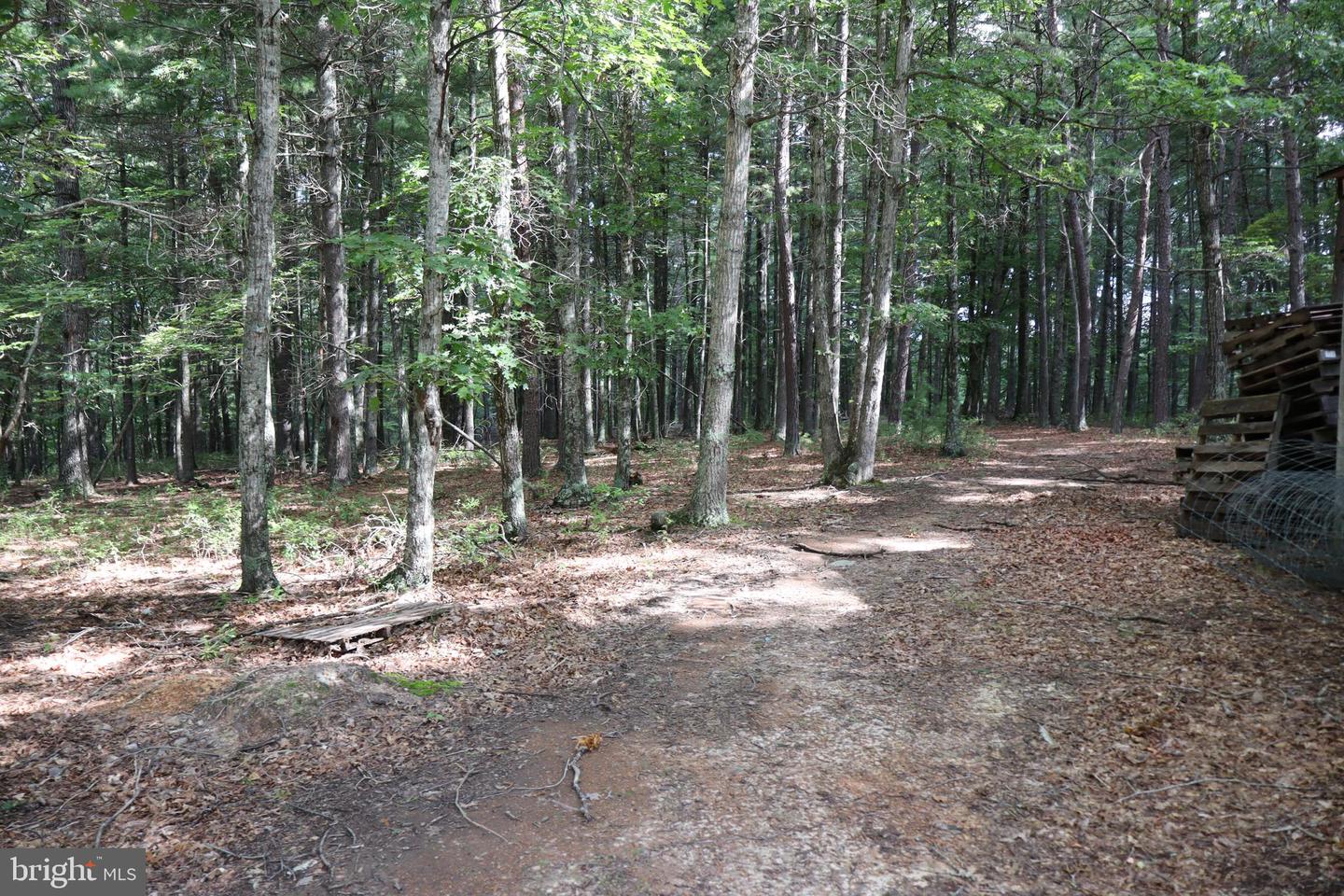 418 R & R Ridge Rd Property Photo 25