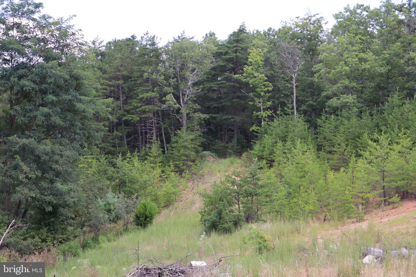 418 R & R Ridge Rd Property Photo 35