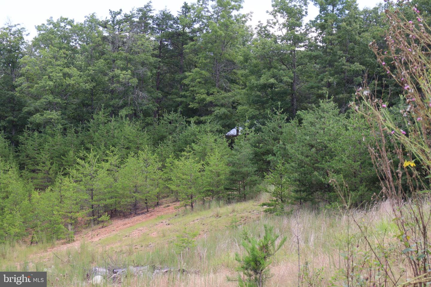 418 R & R Ridge Rd Property Photo 36